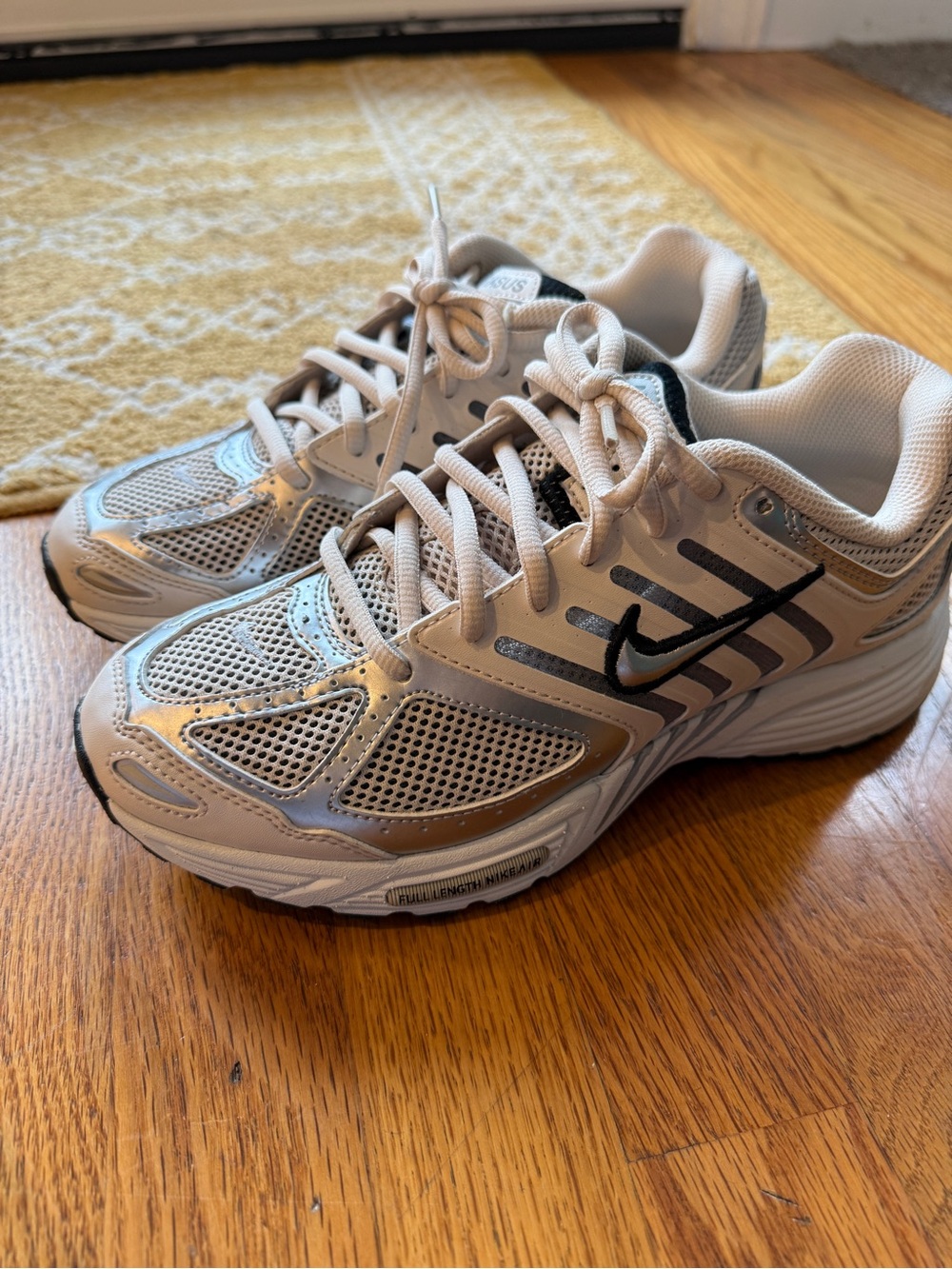 NWOT Nike Air Pegasus Shoes